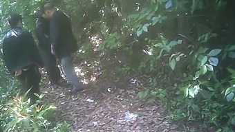 Gay Park Encounter With Asian Amateur